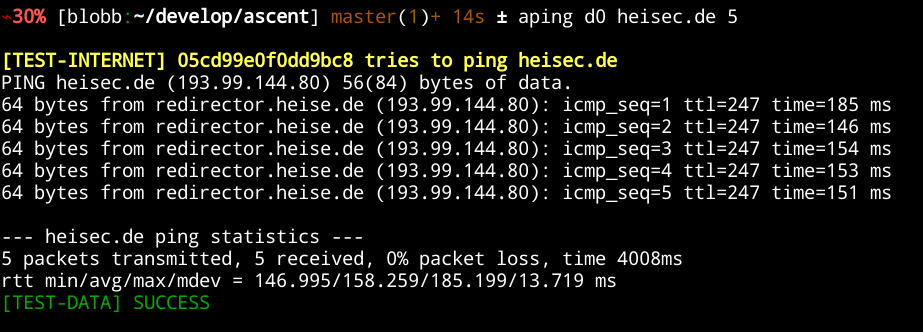 console output of 'ping d1 heisec.de 5'